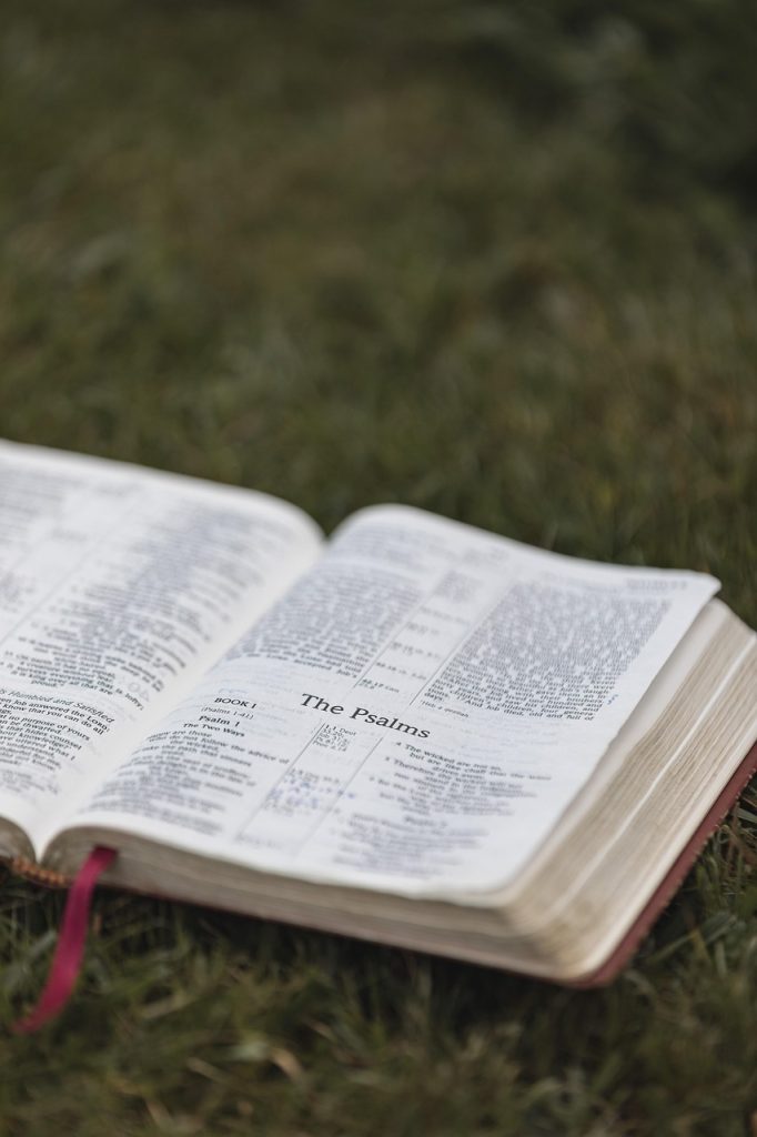 bible, christianity, religion, nature, bible study, bible verse, bible reading, book, pages, christian bible, god, grass, christian symbol, word of god, scripture, holy, christian background